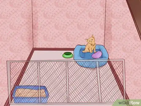 Imagen titulada Litter Train a Kitten Step 9