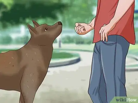 Imagen titulada Teach Your Dog Not to Get Into Garbage Cans Step 6
