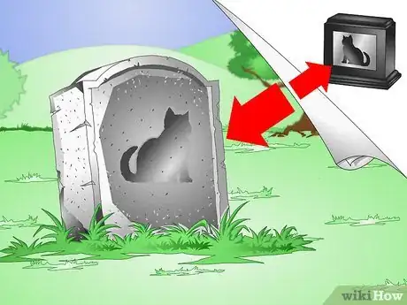 Imagen titulada Comfort a Dying Cat Step 13