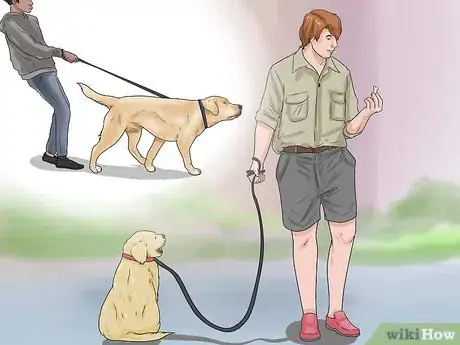 Imagen titulada Train a Golden Retriever Puppy Step 23