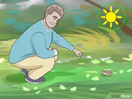 Imagen titulada Find Toads Step 4