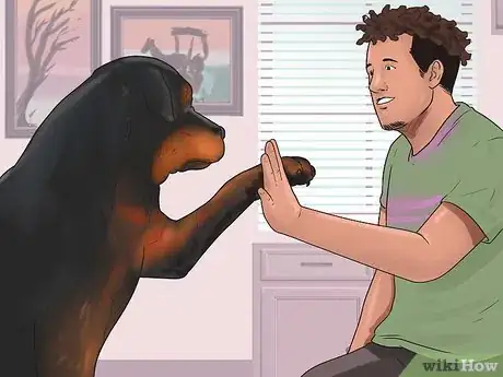 Imagen titulada Teach Your Dog Tricks Step 9