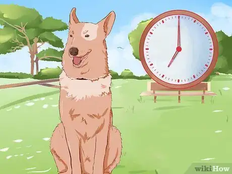 Imagen titulada Train a Dog to Stay Step 13