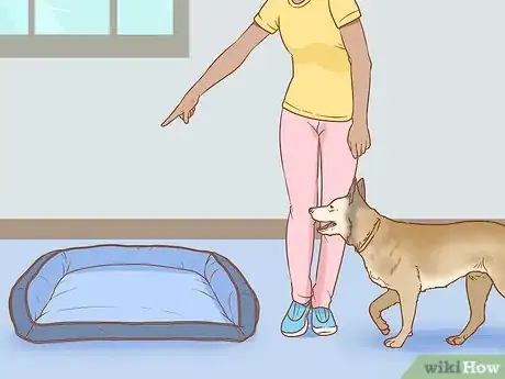Imagen titulada Stop Your Dog from Waking You Up at Night Step 7