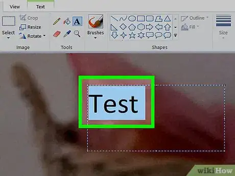 Imagen titulada Put Text on Pictures Step 11