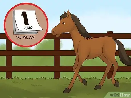 Imagen titulada Become a Breeder Step 14
