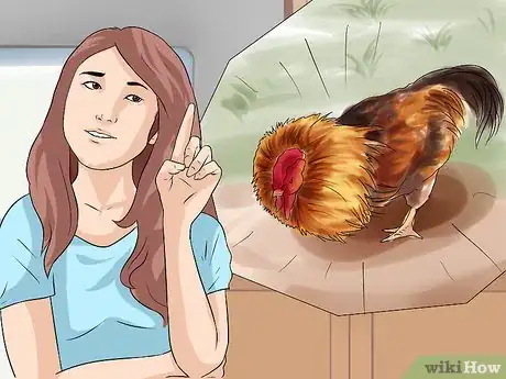 Imagen titulada Protect Yourself from an Attacking Rooster Step 7