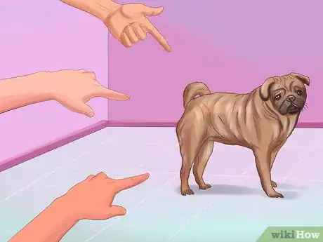 Imagen titulada Live with a Pug Dog Step 5