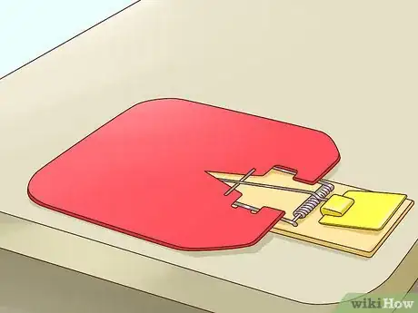 Imagen titulada Keep Pets off the Furniture Step 12