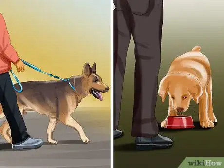 Imagen titulada Introduce a Puppy to a Dog Step 22