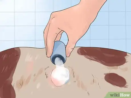 Imagen titulada Treat Hot Spots in Dogs Step 7