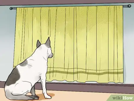 Imagen titulada Stop Your Dog from Barking at Strangers Step 4