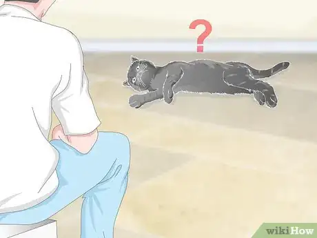 Imagen titulada Help a Vomiting Cat Step 10