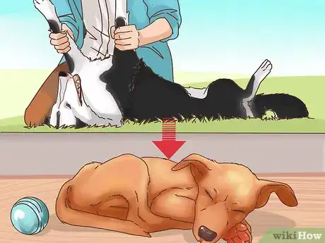Imagen titulada Determine if You Should Euthanize Your Dog Step 2