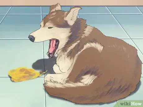 Imagen titulada Treat Acid Reflux in Dogs Step 12