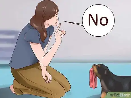 Imagen titulada Train Your Rottweiler Puppy With Simple Commands Step 9