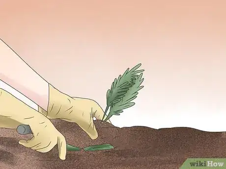 Imagen titulada Get Rid of House and Garden Pests Step 9