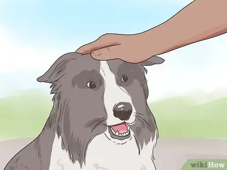 Imagen titulada Introduce a New Dog to Your House and Other Dogs Step 24