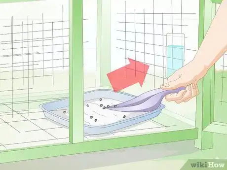Imagen titulada Clean a Rabbit Cage Step 3