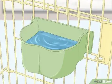 Imagen titulada Feed a Conure Step 6