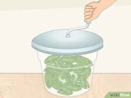 Imagen titulada Wash Spinach Step 12