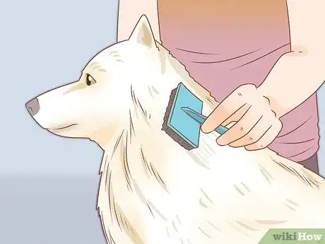 Imagen titulada Take Care of a Dog Step 11