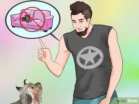 Imagen titulada Train a Yorkie Step 8