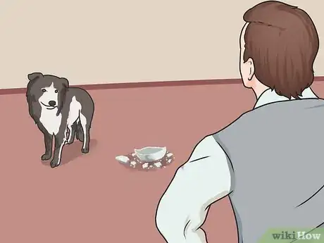 Imagen titulada Introduce a New Dog to Your House and Other Dogs Step 36