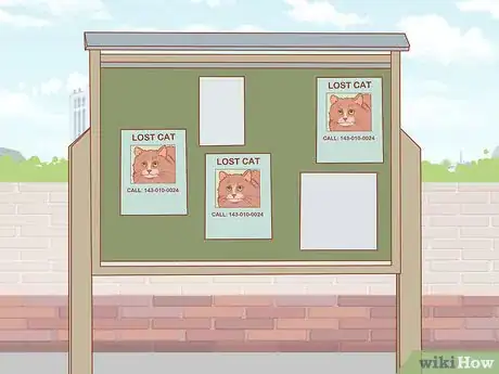 Imagen titulada Find a Lost Cat Step 29