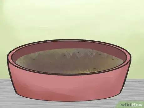 Imagen titulada House Train a Pig Step 1