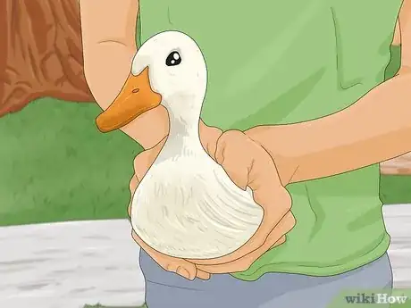 Imagen titulada Train Ducks Step 9