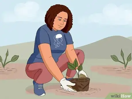 Imagen titulada Find Your North Node Step 8