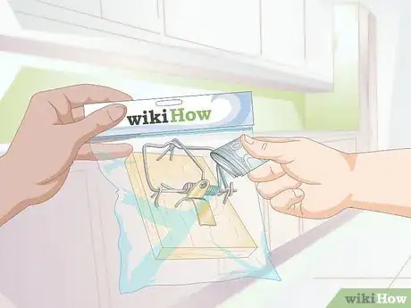Imagen titulada Make a Bird Trap Step 14