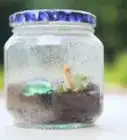 hacer un terrario de insectos