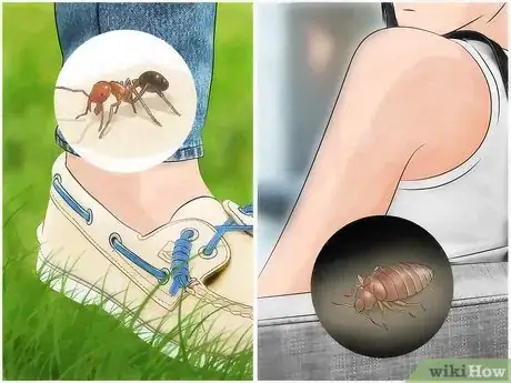 Imagen titulada Identify Insect Bites Step 1