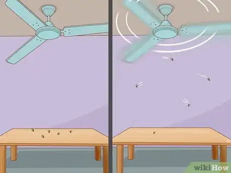 Imagen titulada Get Rid of Flies Step 9