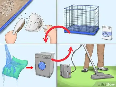 Imagen titulada Get Rid of Tropical Rat Mites on Pet Rats Step 5