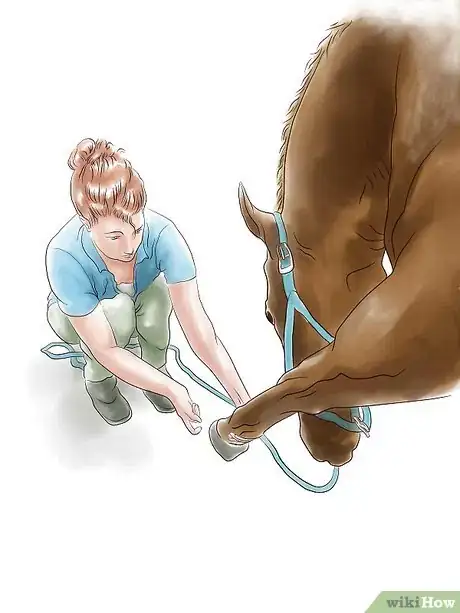Imagen titulada Stretch a Horse Step 7
