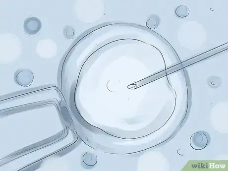 Imagen titulada Get Pregnant Step 24