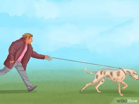 Imagen titulada Identify a Great Dane Step 3