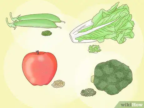 Imagen titulada Feed Goldfish Step 5