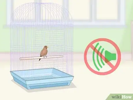 Imagen titulada Bond with Pet Finches Step 6
