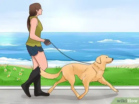 Imagen titulada Train Your Dog for a Dog Show Step 5