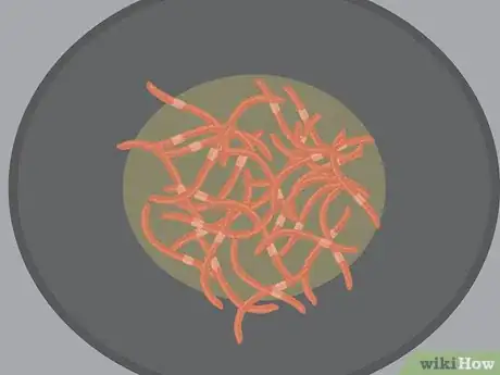 Imagen titulada Eat Worms Step 13