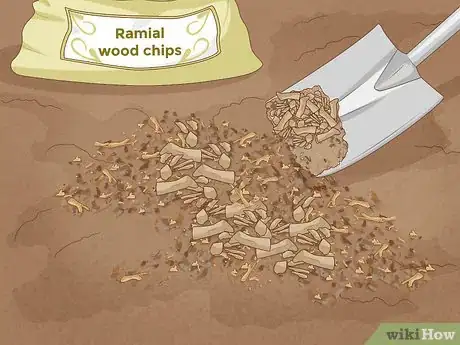 Imagen titulada Improve Soil Step 14