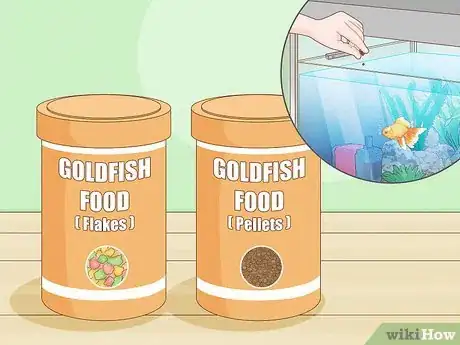 Imagen titulada Feed Goldfish Step 2