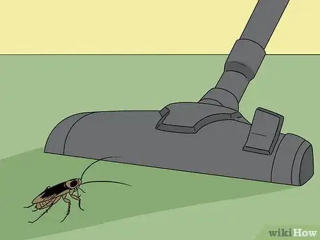 Imagen titulada Do Pest Control With a Vacuum Cleaner Step 7