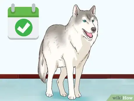 Imagen titulada Know if a Female Dog Is Fertile Step 5