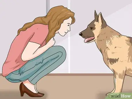 Imagen titulada Walk a Dog Step 5