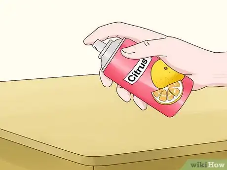 Imagen titulada Keep Pets off the Furniture Step 17